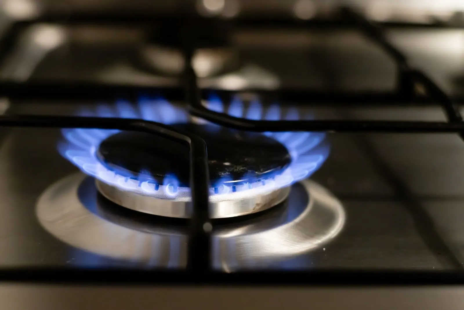 A gas burner alight on a hob ring