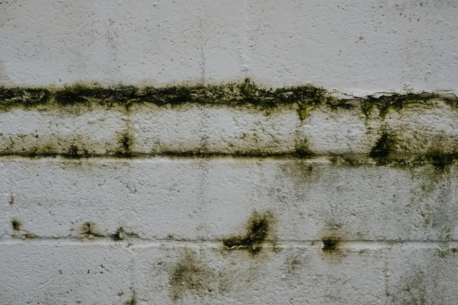 Water staining spreading down a wall from a hidden leak