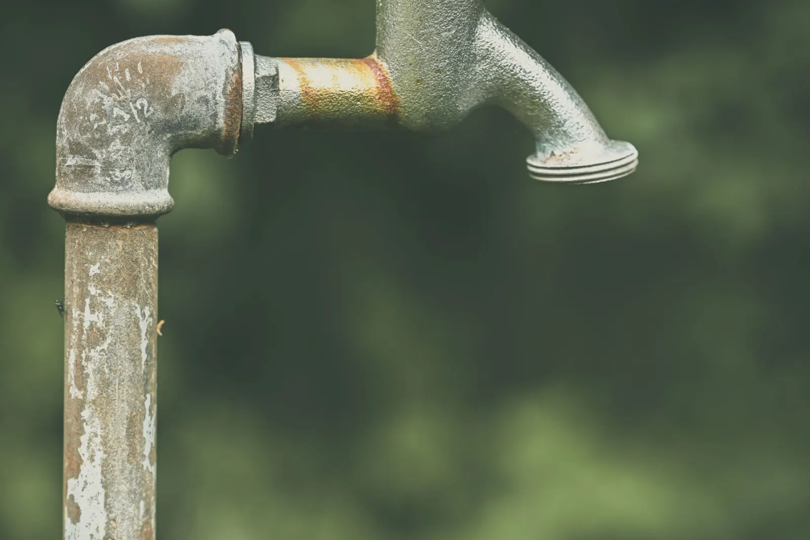 An outside tap mounted on an exterior wall